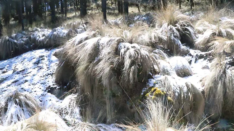 Nevada en el Cofre de Perote